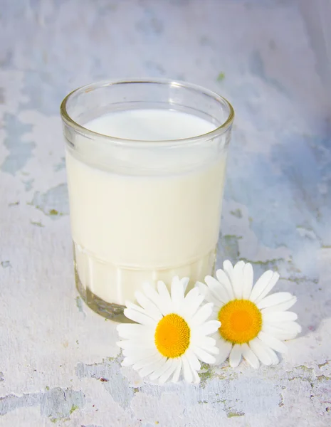 Glass with milk and camomiles a shabby wooden background — Stock Photo, Image