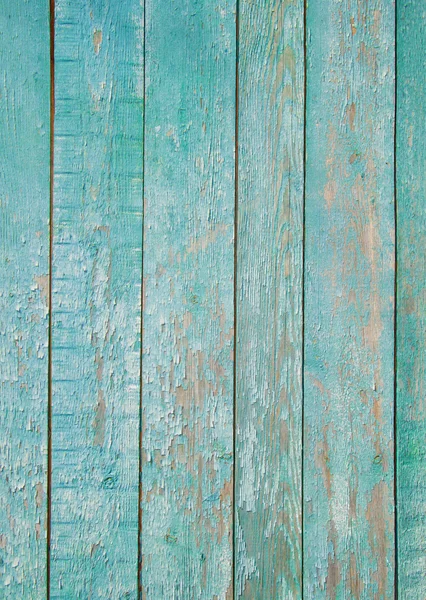 Menta malhumorada Fondo de madera —  Fotos de Stock