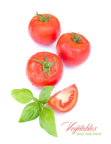 Tomate avec feuille de basilic isolée sur blanc — Photo