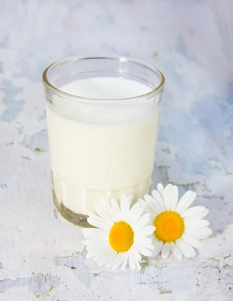 Vaso con leche y manzanillas un fondo de madera malhumorado —  Fotos de Stock