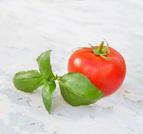 Świeża bazylia zielony i czerwony pomidor na tle drewniane brudny — Zdjęcie stockowe