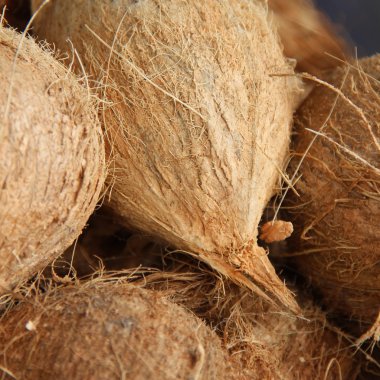 yerel pazarda organik hindistan cevizi