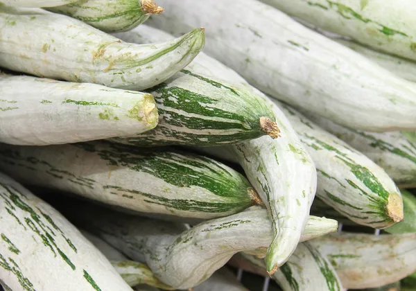 Schlangenkürbis auf dem Markt. geringe Schärfentiefe — Stockfoto