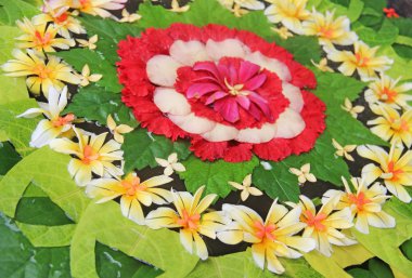 Mandala nimet, bali. sığ derinlik-in tarla