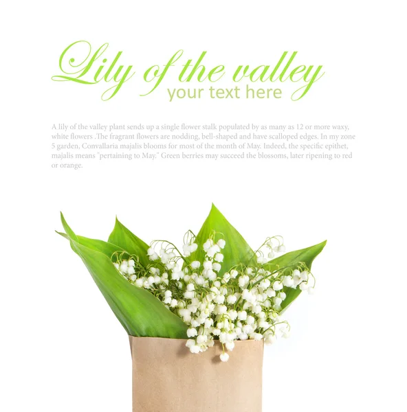 Lily of the valley in a paper bag — Stock Photo, Image