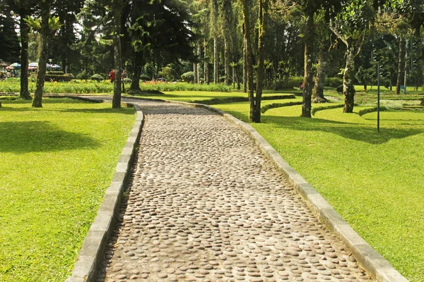 Camino en el jardín botánico — Foto de Stock