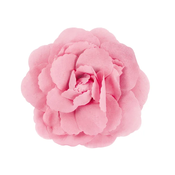 Broche rosa flor isolada no fundo branco — Fotografia de Stock