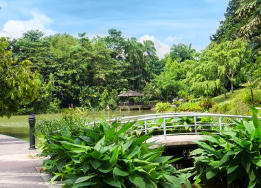 Güzel park