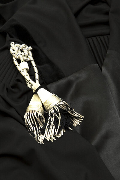 Юрист в мантии
