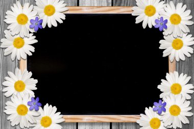 yazı tahtası ve çiçekler artalan kopya alanı ile