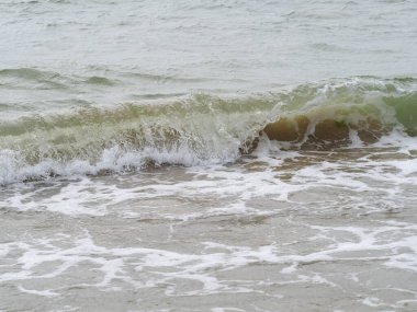 Karadeniz kıyısında dalgalar