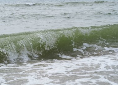 Karadeniz kıyısında dalgalar