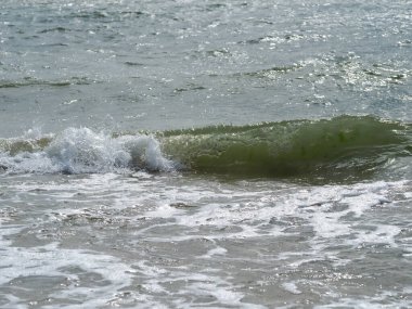 Karadeniz kıyısında dalgalar