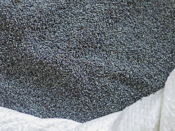 Markette beyaz bir torbada haşhaş tohumları