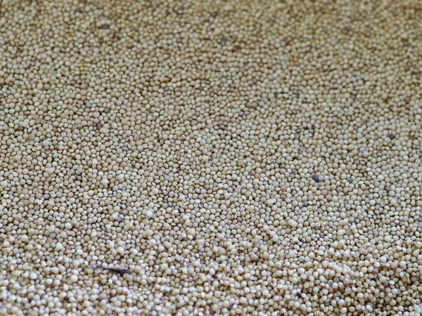 Quinoa Vit Påse Vid Basaren Närbild — Stockfoto