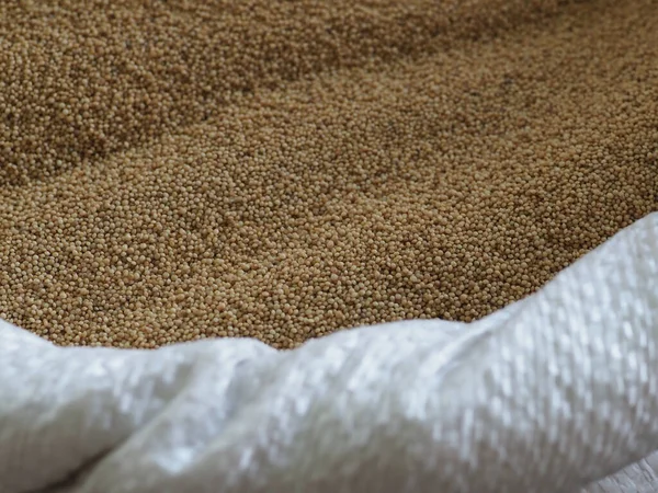 Quinoa Vit Påse Vid Basaren Närbild — Stockfoto