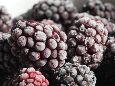 Donmuş böğürtlenler yakın