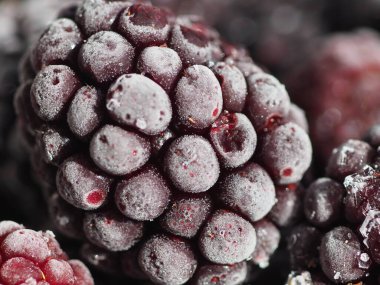 Donmuş böğürtlenler yakın