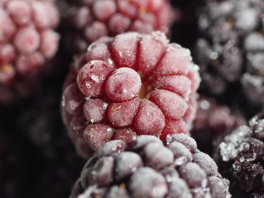 Donmuş böğürtlenler yakın