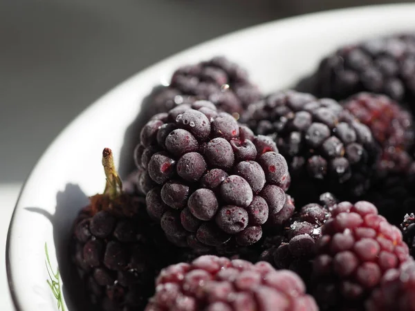 Moras Maduras Congeladas Cerca — Foto de Stock