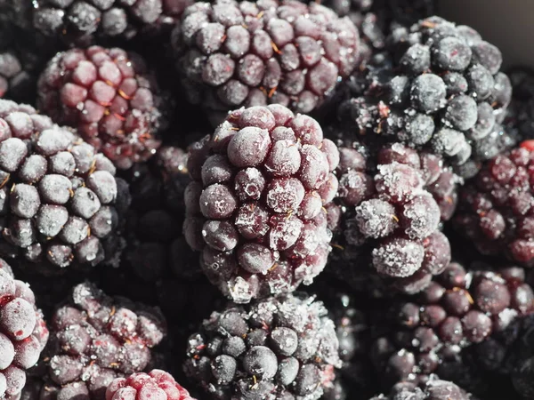 Moras Maduras Congeladas Cerca — Foto de Stock