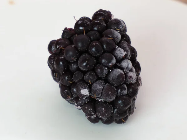 Congelado Maduro Grande Blackberry Fruta Close — Fotografia de Stock