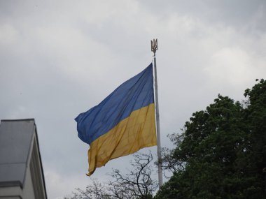 Bayrak direğindeki büyük Ukrayna bayrağı. Üzerinde devlet amblemi var. Üç dişli bir mızrak.
