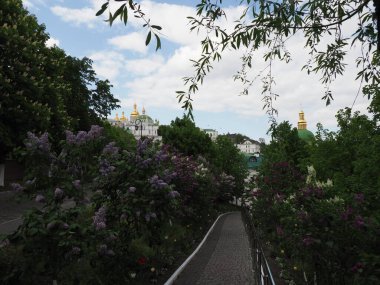 Keşişlerin Ortodoks manastırına dönüşmesi için leylak çiçekli taş patika