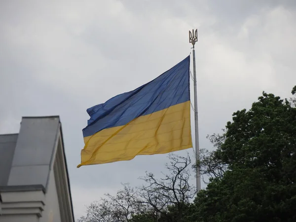 Bayrak direğindeki büyük Ukrayna bayrağı. Üzerinde devlet amblemi var. Üç dişli bir mızrak.