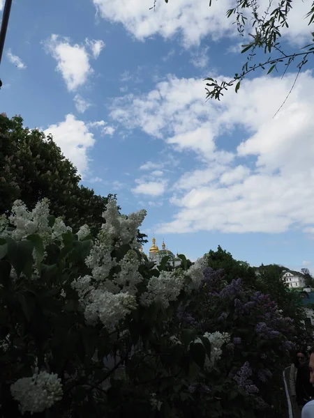 Stone Trail Lilac Flowers Monks Convert Orthodox Monastery — Stock Photo, Image