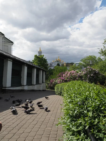 有石路的基督教教堂和东正教修道院的鸽子的公园景观 — 图库照片