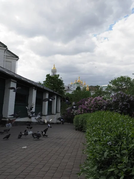 Парковый Пейзаж Христианских Церквей Каменной Дорожкой Голубями Православном Монастыре — стоковое фото