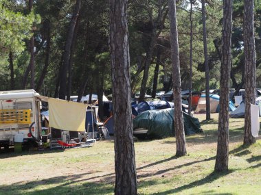 Motor home in a camping in a pine forest