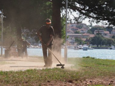 A lawnmower with a hand powered lawnmower mows the grass on the lawn in the park