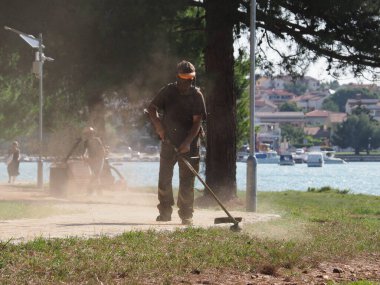 A lawnmower with a hand powered lawnmower mows the grass on the lawn in the park