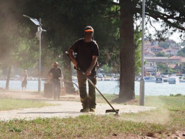 A lawnmower with a hand powered lawnmower mows the grass on the lawn in the park