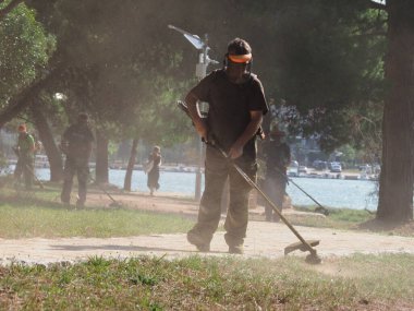 A lawnmower with a hand powered lawnmower mows the grass on the lawn in the park