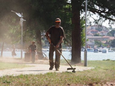 A lawnmower with a hand powered lawnmower mows the grass on the lawn in the park