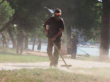 A lawnmower with a hand powered lawnmower mows the grass on the lawn in the park