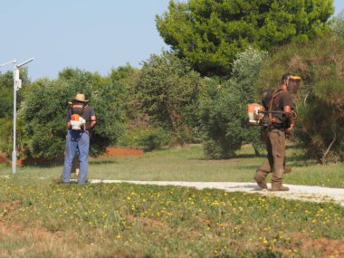 A lawnmower with a hand powered lawnmower mows the grass on the lawn in the park