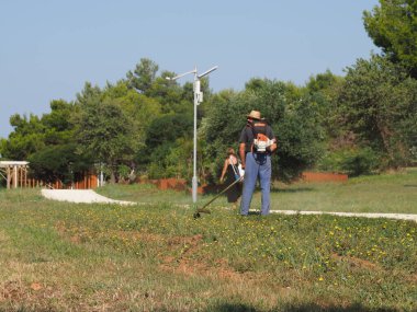 A lawnmower with a hand powered lawnmower mows the grass on the lawn in the park