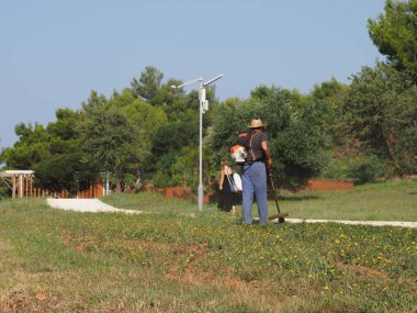 A lawnmower with a hand powered lawnmower mows the grass on the lawn in the park