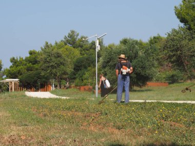 A lawnmower with a hand powered lawnmower mows the grass on the lawn in the park