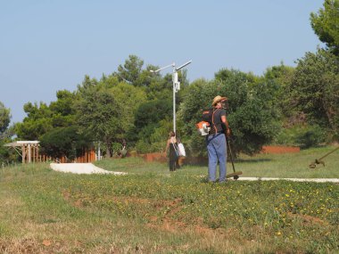 A lawnmower with a hand powered lawnmower mows the grass on the lawn in the park