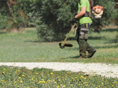 A lawnmower with a hand powered lawnmower mows the grass on the lawn in the park