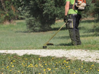 A lawnmower with a hand powered lawnmower mows the grass on the lawn in the park