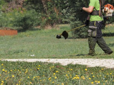 A lawnmower with a hand powered lawnmower mows the grass on the lawn in the park
