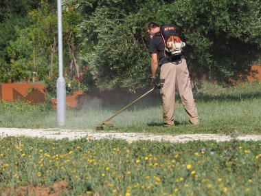 A lawnmower with a hand powered lawnmower mows the grass on the lawn in the park