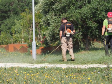 A lawnmower with a hand powered lawnmower mows the grass on the lawn in the park