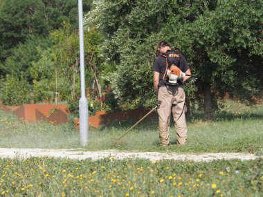 Cleaning up mowed grass on the lawn